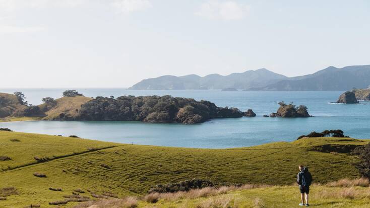 A view over the Bay of Islands