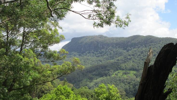 The Gold Coast Hinterland, perfect for national park camping