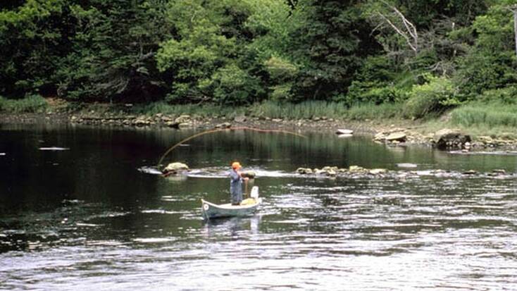 Someone fishing in a river in Blackwater Falls, WV