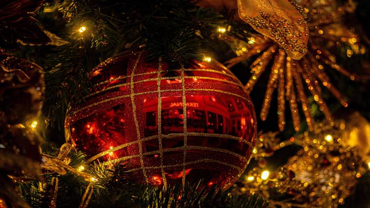 A red ornament on a Christmas tree