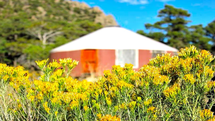 Charmoso Yurt Aninhado em Unaweep Canyon perto de Grand Junction, Colorado, presentes para pessoas que amam viajar