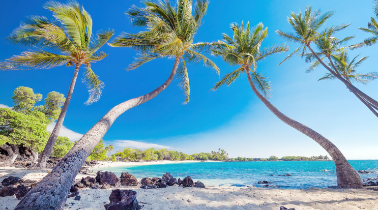 pristine beach view of private bay