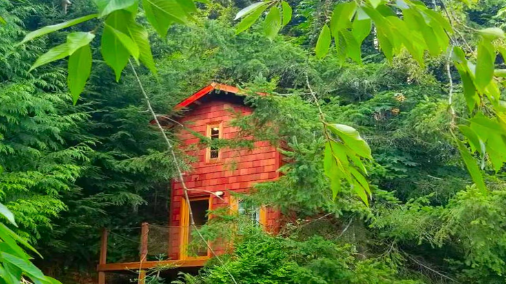 Idyllic Tree House Rental with a Cozy Fireplace in Snohomish, Washington