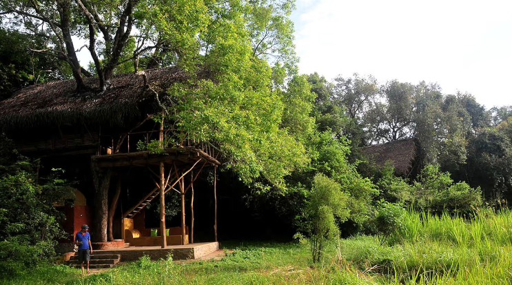 Exotic Tree House Rentals Tucked Away in the Rainforest in Sigiriya, Sri Lanka