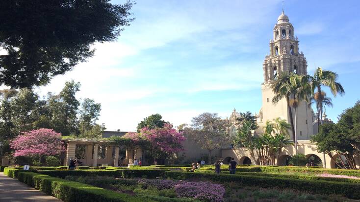 Spring flowers in Balboa Park, San Diego