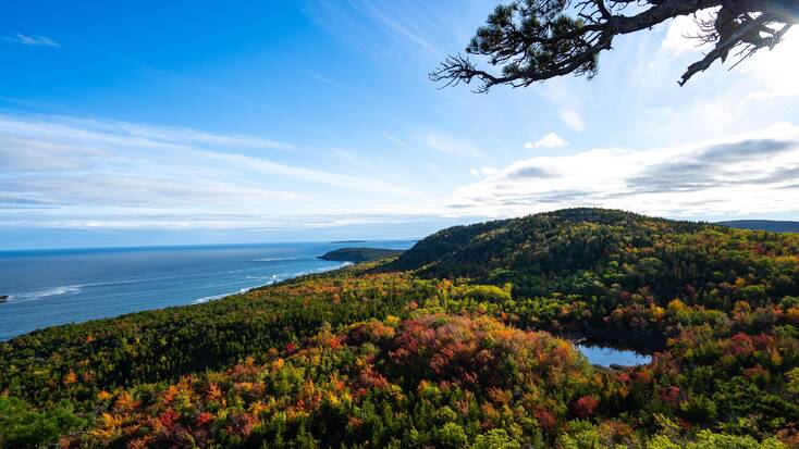 Discover the best whale watching tours in Bar Harbor, ME