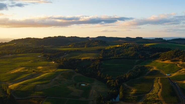 A bird's-eye-view of Willamette Valley, Oregon