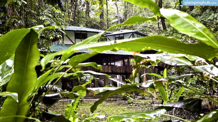 Dashing Jungle Cabanas near Caribbean Sea, Costa Rica