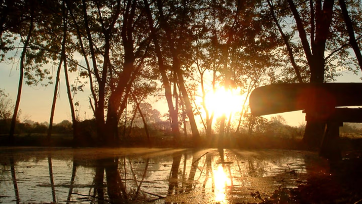 Elegant Safari Tents Ideal for a Staycation in Dunnville, Ontario, Canada, Toronto vacation rentals