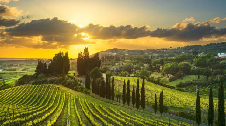 Tuscany Landscape, Italy