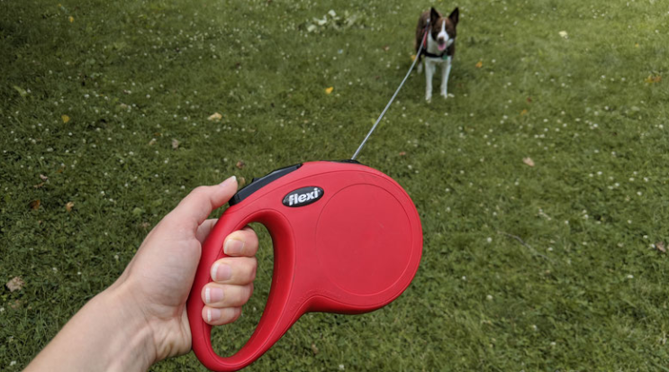 Long retractable dog leash