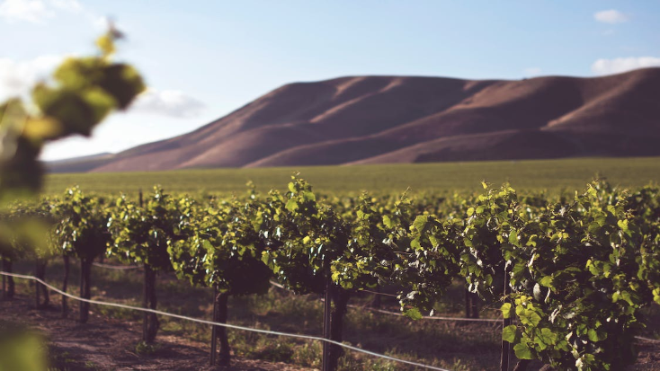 best wineries in Victoria