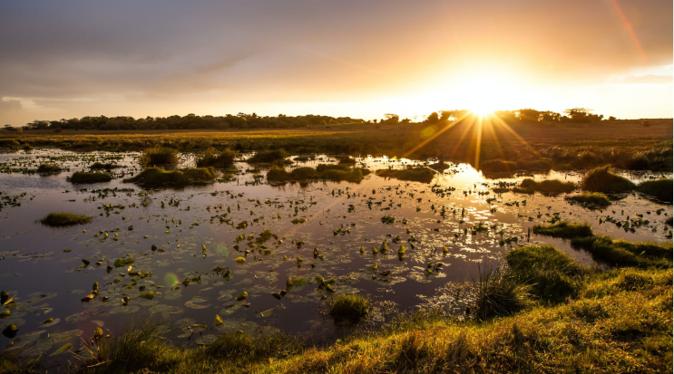 iSimangaliso Wetland Park, South Africa