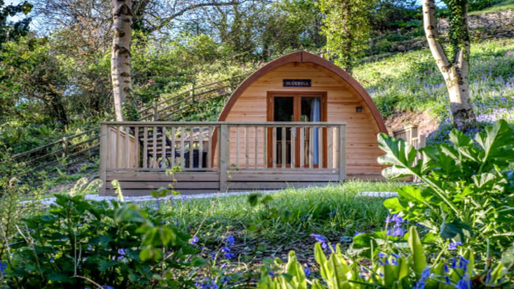 Secluded Glamping Pods Nestled in the Forest in Cornwall, UK