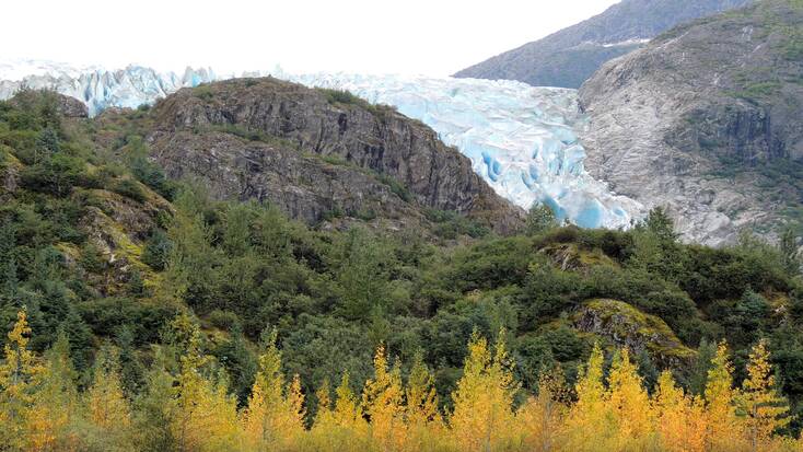 The Herbert Glacier in Tongass, Alaska