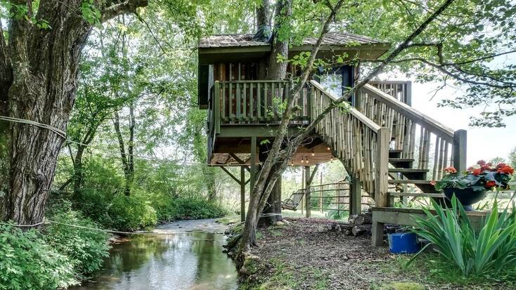 A tree house in North Carolina