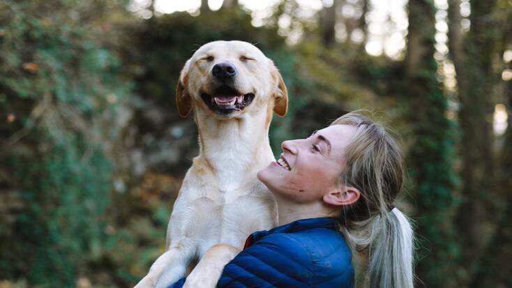 A dog and his human in a forest