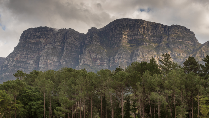 Big five king trails start at Newlands forest Cape Town