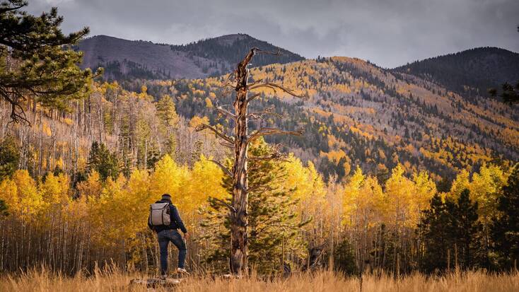 Someone hiking in the Flagstaff Mountains