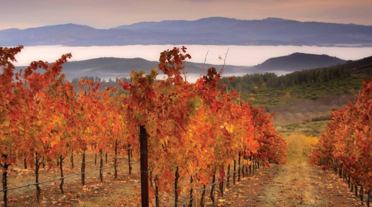 Lower Lake, California wine country