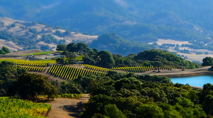 Winaries in Mendocino, California