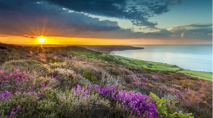 North York Moors National Park