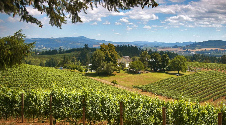 Portland, wineries in Oregon