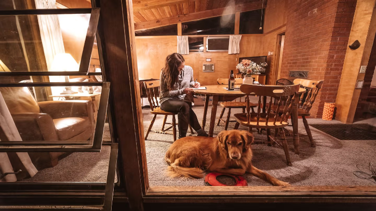 Pet-Friendly Duplex Cabin Overlooking Fern Valley for Luxury Camping Stay in Idyllwild, California, dog friendly bars