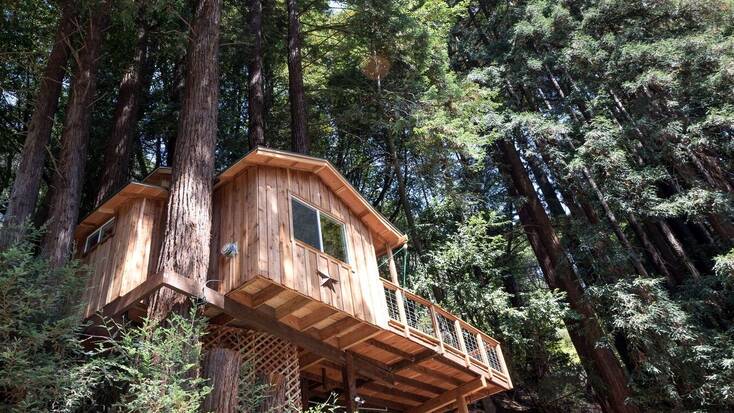 Tree house rental near San Francisco