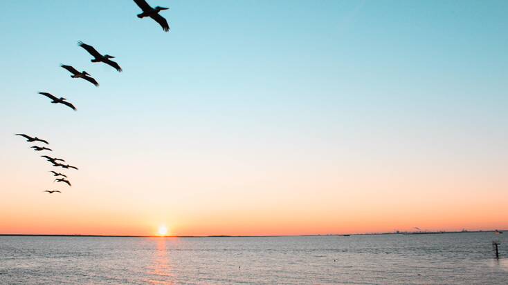 Sunset over Galveston, Tx