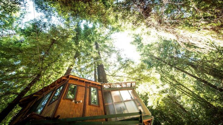 A tree house. Vacation in the sky!