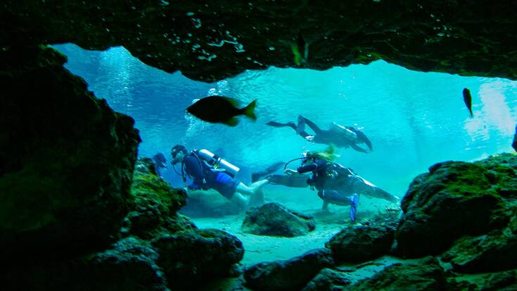 Scuba diving in Ginnie Springs, for a fun family getaway in Florida