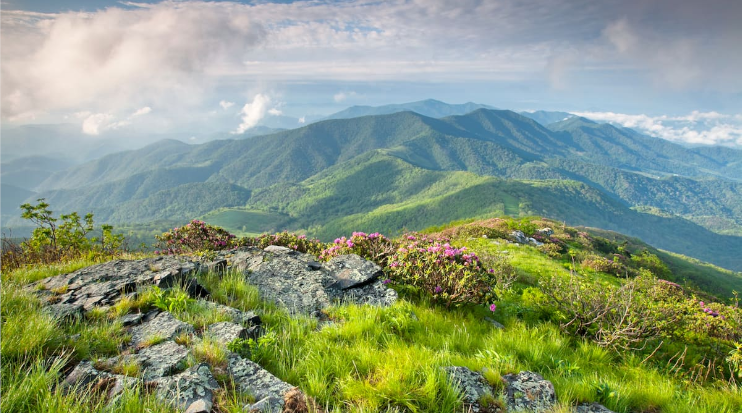 Pisgah National Forest