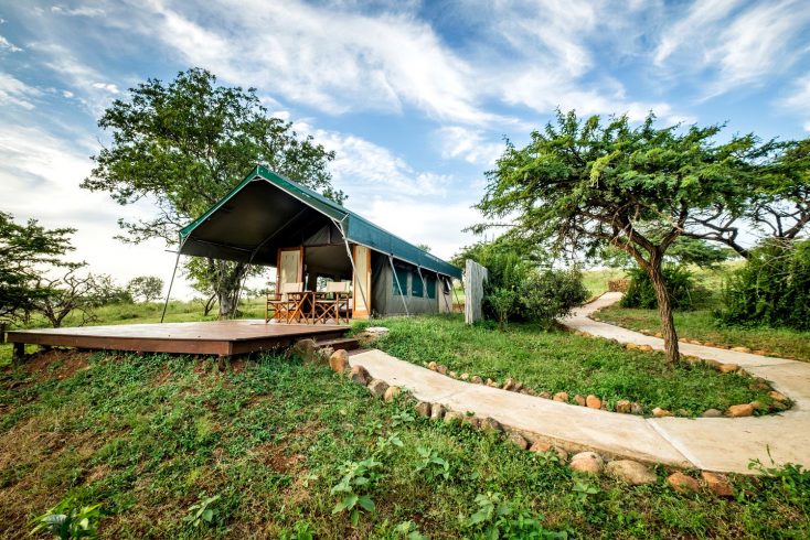 Luxurious Safari Tent in South Africa