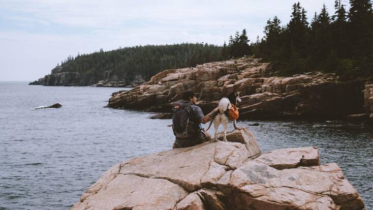 A dog and their human enjoying views of the water while hiking in Acadia National Park, Maine