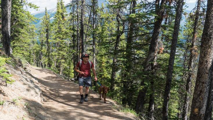 A hiker and his dog enjoying forest-cvered dog-friendly hiking trails in Banff, Alberta