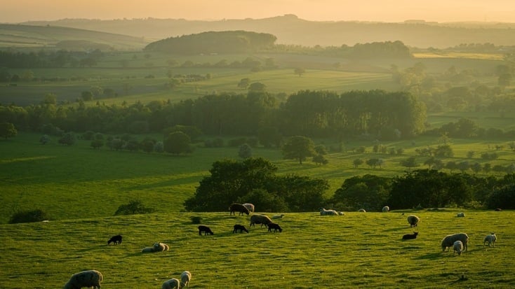 A viw over stunning hills and fields in the British countryside