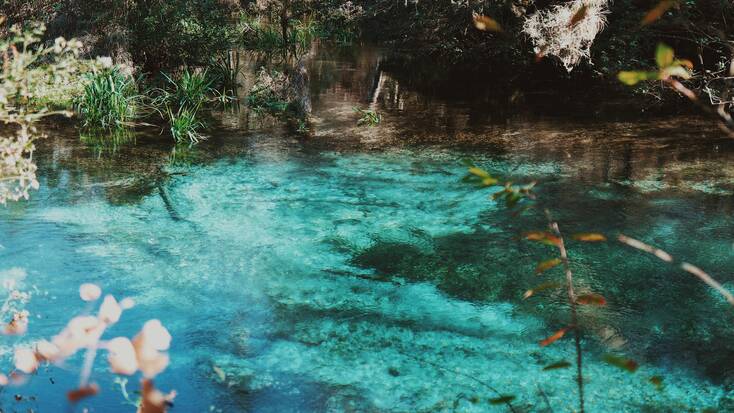 Stunning turquoise waters of the Ichetucknee Springs