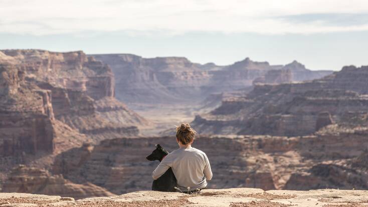 A dog and their human admiring the views from the Grand Canyon, Utah