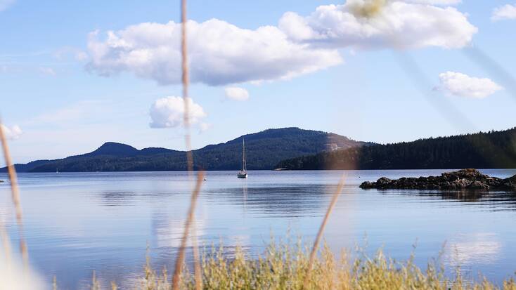 A sailing boat on the water just off the shoreline of Orcas Island