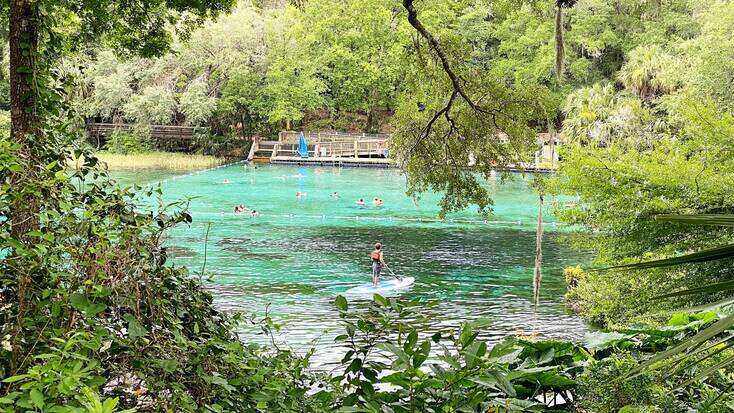 Stand up paddle boarding in Rainbow Springs during your family getaway