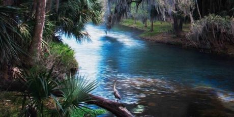 Best springs in Florida