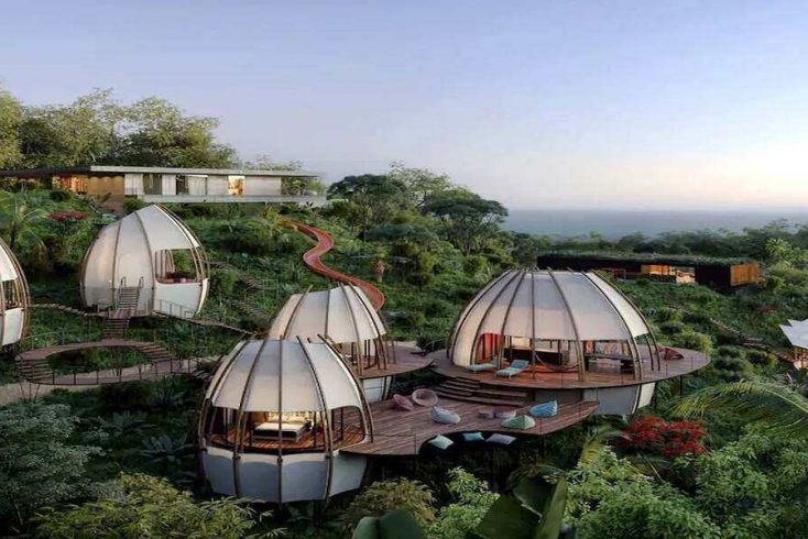 Luxury Glamping Pod Resort on a hillside