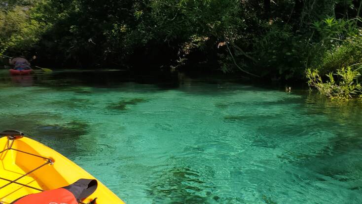 A kayak exploring Weeki Wachee State Park as part of a family getaway
