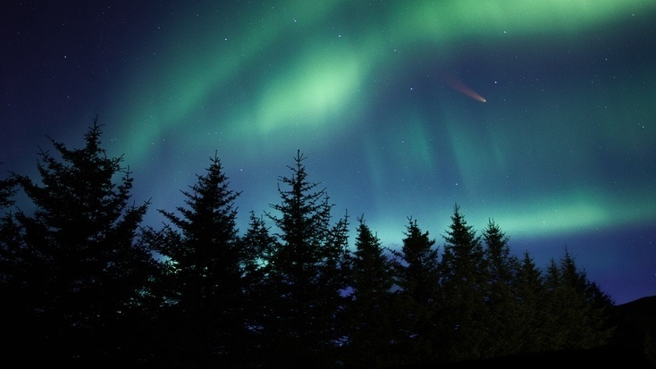 Trees and are here to watch the skies during world asteroid day