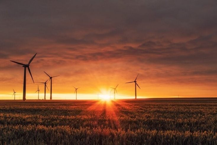 Windmills provide energy from renewable sources