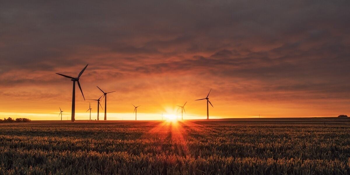 Windmills provide energy from renewable sources