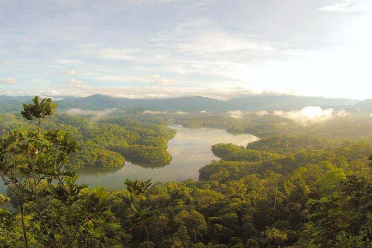 Borneo Rainforest is amongst the best green holiday destinations