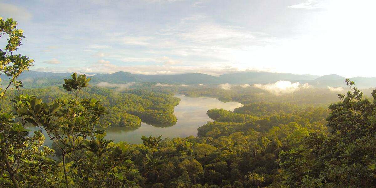 Borneo Rainforest is amongst the best green holiday destinations