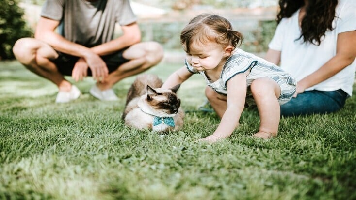 A girl petting a cat during the best glamping with pets